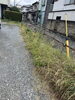 もさもさした草「駐車場の草刈り・伐採＆ロープ張り替えを行いました！」