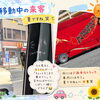 移動中のちょっとしたハプニング？セミさんと一緒にドライブ