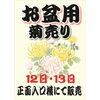 お盆用菊売り、８月１２日曜日と１３日木曜日正面入り口にて販売【道の駅 南えちぜん山海里】
