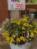 地元産のお花350円で販売中「お盆に切り花入荷しています【鉾田市直売所】」
