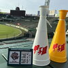 ⚾️甲子園始まりましたね⚾️