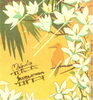 芋焼酎｢sunny cream｣(サニークリーム) 芋焼酎｢サニークリーム｣、8月11日(火)発売「⭐芋焼酎｢サニークリーム｣、(令和8年8月11日(火)本日より発売開始【｢sunny cream｣は、全国の特約店で発売開始 2021年9月に発売した｢サニークリーム｣。今年で6年目の発売となります♬】」