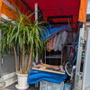 観葉植物や家電も安心！荷台いっぱいでもしっかり養生してお運びします