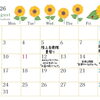 8月の出店スケジュールのお知らせ🌻