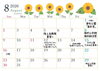 「8月の出店スケジュールのお知らせ🌻」