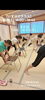 「ご近所でヨガできます🧘‍♀️【足立区 六町/八潮 ヨガ教室/フラダンス教室 なつこヨガ/なつこフラ 】」