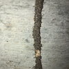有資格者が担当するシロアリ防除と床下補強・リフォームの安心対応