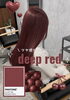 ブリーチ必須カラー「deep red」
