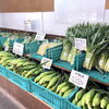 地元産『野菜』『果物』続々入荷！道の駅木曽福島