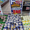 情熱価格！三ツ星製菓完全監修★雪の宿プリン登場！