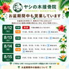 🏝️ヤシの木接骨院の直近の空き枠🏝️