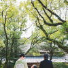 問屋町レンタル着物TUZUMI　10月・11月の出張着付け・ヘアセット　9月15日（火）までのご相談分で受付いたします
