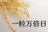 「【幸運日】一粒万倍日＆天恩日」