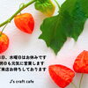 J's craft cafe です