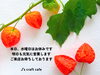 「J's craft cafe です」