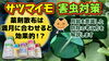 「サツマイモの防除体系! 多収性を目指すために適切な作業時期をご提案します。　たねのハシモトミヤ」