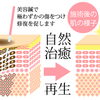 美容鍼で肌の自然な再生力を高めるケアのイメージ（明石市・美容鍼）