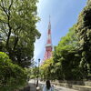 次男6歳と東京タワーへ行ってきました