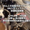 20(歳まで美味しく食べよう)が叶う⁉️わんこの自動ご飯作り機　試食&試運転会
