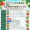 🏝️ヤシの木接骨院の直近の空き枠🏝️