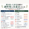 薬に頼らない育毛ケアという選択肢について