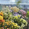 今日は「迎え盆」お仏花も沢山ご用意してお待ちしております。【越前市/花屋/生花/フラワーアレンジメント/ふるーれ・T】