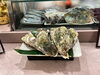 新鮮な生牡蠣を堪能「8月のお盆期間中の営業について」