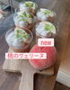 「【新作ケーキ登場！】アールグレイ香る優雅な味わい「桃のヴェリーヌ」が新発売！🍑✨」