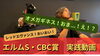 「エルムS＆CBC賞の実践予想動画をYouTubeで公開しました」