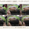 頭皮チョロチョロマッサージでスッキリ🫧弱酸性ヘアエステのお話