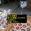 本日、8/14 金曜日　10時〜　第2回八王子名産パッションフルーツ直売会　開催します。雨でもやっていますのでぜひ、お越し下さい。東京都八王子市八日町2-3　八王子スカイホテル1F　802SKYSHOP 八王子名産　八王子産　八王子産野菜