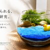 「自由研究、まだ決まってない！（汗）」な小学生へ。