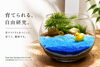 苔テラリウムで自由研究を楽しもう「「自由研究、まだ決まってない！（汗）」な小学生へ。」