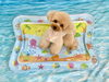 まるくん「波とわんこ🌊」