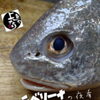 皆様、こんにちは
本日はニベ刺身がイチオシです☆
週末は地酒や逸品メニューとご一緒に一杯いかがでしょうか？
皆様のご来店心よりお待ち申し上げております♪