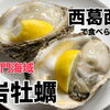 【牡蠣入荷‼️】西葛西で美味しい海鮮・岩牡蠣とワインを楽しむなら「カルカル」へ！贅沢なひとときをお過ごしください🍷✨
