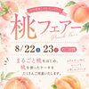 🍑桃フェアー開催いたします🍑
