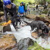 ワンコも一緒に水遊び！