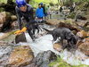 「ワンコも一緒に水遊び！」
