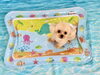 こたろうくん「波とわんこ🌊」