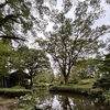 雲嶺庵で日本庭園散策🌿と會津ほまれの利き酒体験🍶