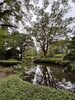 1,300の敷地「雲嶺庵で日本庭園散策🌿と會津ほまれの利き酒体験🍶」