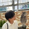 掛川大満足旅【休日投稿】