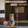 🌟 杉並区版☆12星座占い 🌟 まいぷれ☆星見にゃんこ 🌟 8/17〜8/23
