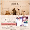 8/23保護猫譲渡会での耳つぼ体験、14時のみご予約受付中です