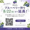 ブルーベリー狩り、8/22（土）まで延長します🫐✨