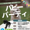 ＼パピーパーティに参加して頂ける子犬 大募集🐶／