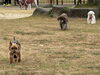 「本日から通常診療再開します」
