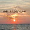 🌿ヘナ＆ハーブが新たな美髪の道を拓く🌿