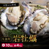 新鮮生食用、濃厚な味わいです！「京都・舞鶴からお届け！濃厚な旨味が詰まった極上の生食用岩牡蠣を味わいませんか？」